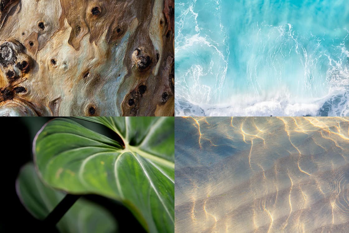 A collage of natural wood, ocean water, green foliage, and sunlit sand